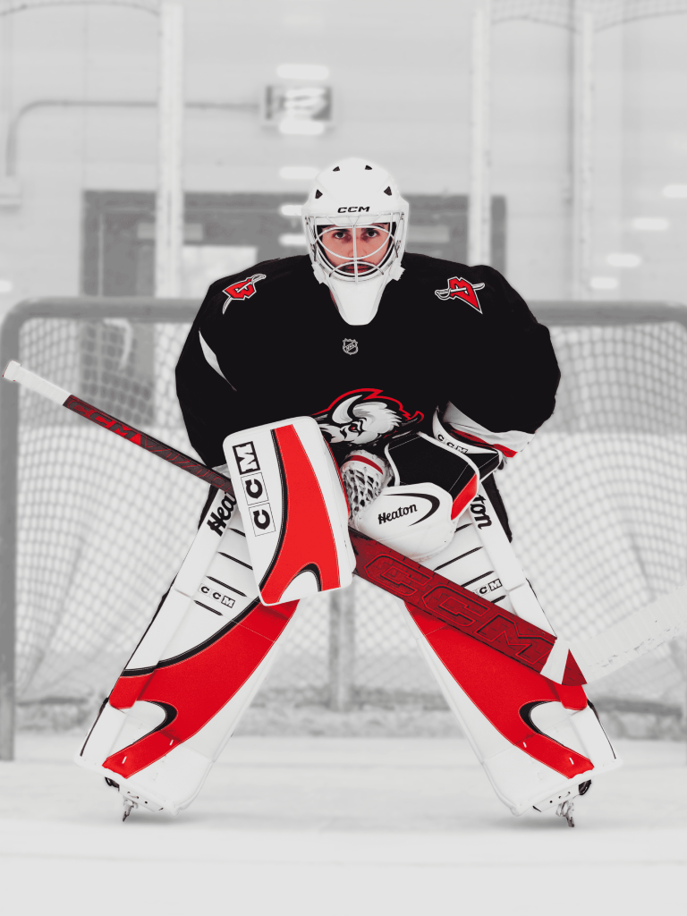 TW-Set CCM EFlex 7.9 HEATON 10 SR