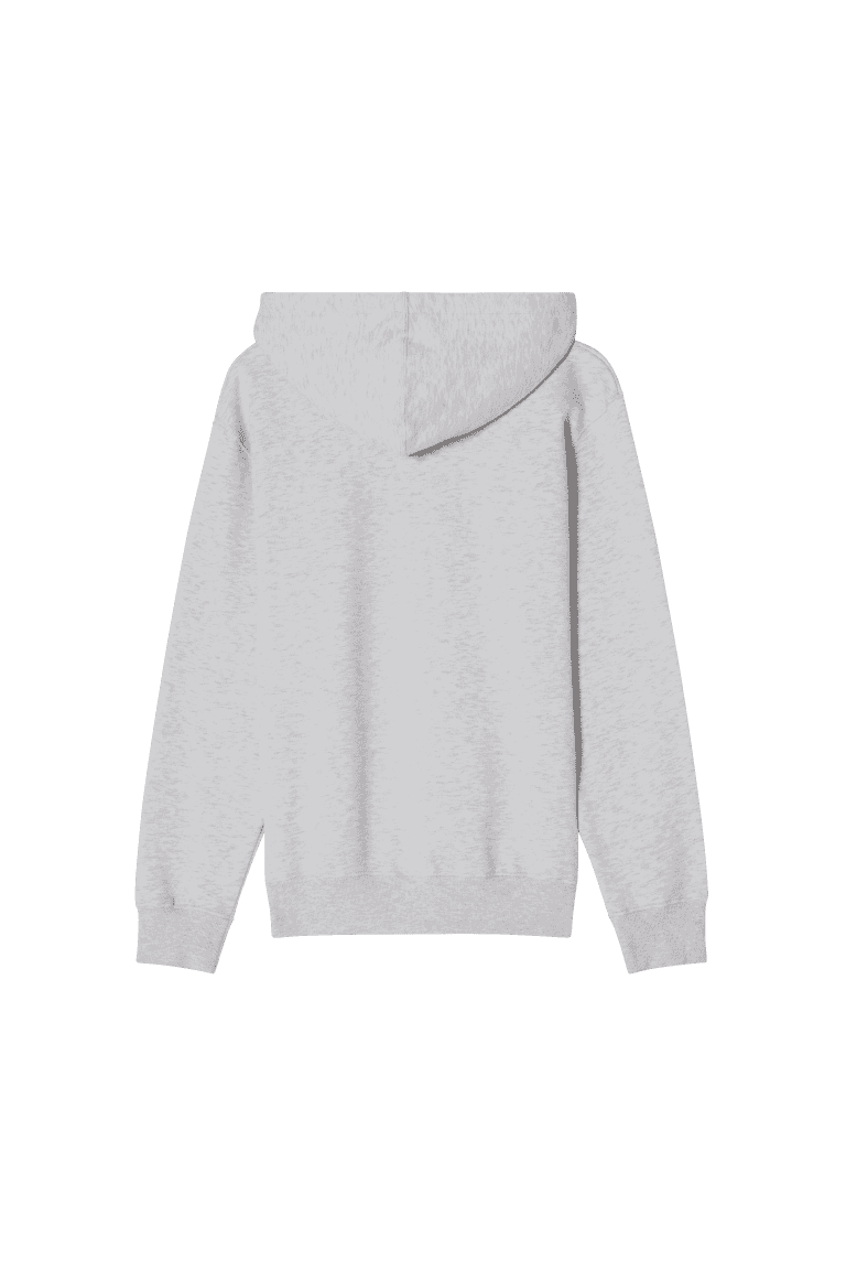 Lifestyle CCM Vintage Pullover Hoodie F25 SR